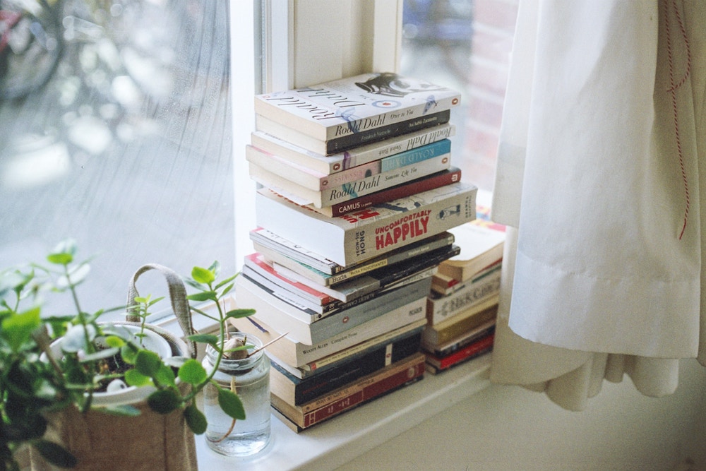 Books lined up by a window